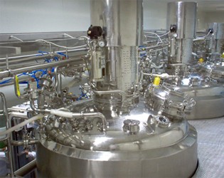 Industrial Plants & Machinery